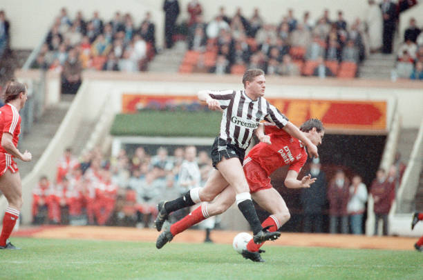 的世界里 的世界里