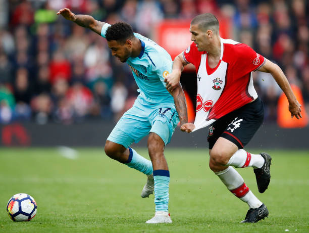 期待老鹰展 期待老鹰展